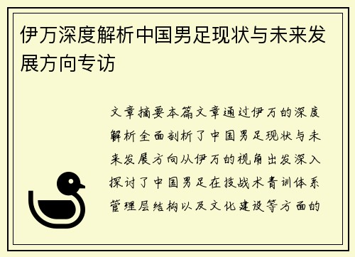 伊万深度解析中国男足现状与未来发展方向专访