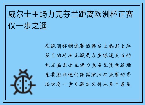 威尔士主场力克芬兰距离欧洲杯正赛仅一步之遥 威尔士主场力克芬兰距离欧洲杯正赛仅一步之遥